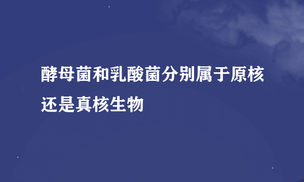 酵母菌和乳酸菌分别属于原核还是真核生物