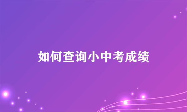 如何查询小中考成绩