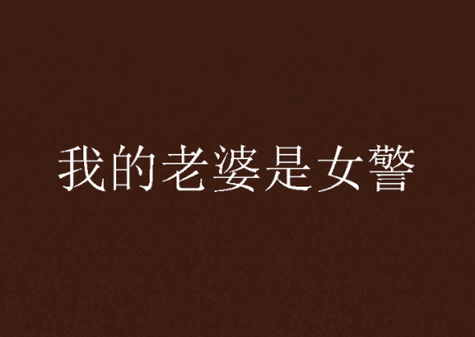我的老婆是女警电子书txt全集下载