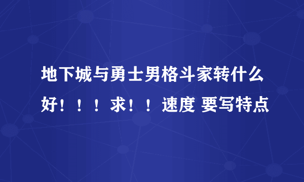 地下城与勇士男格斗家转什么好！！！求！！速度 要写特点