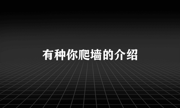 有种你爬墙的介绍