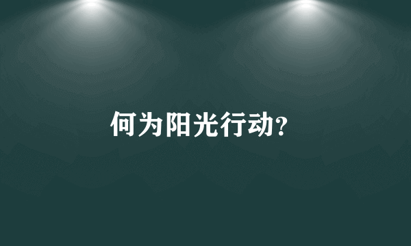何为阳光行动？