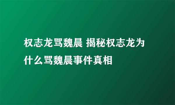 权志龙骂魏晨 揭秘权志龙为什么骂魏晨事件真相