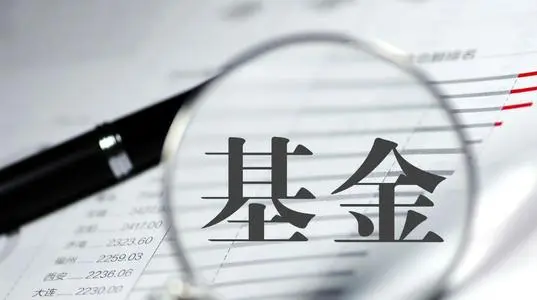 基金在哪里可以看季报和年报？