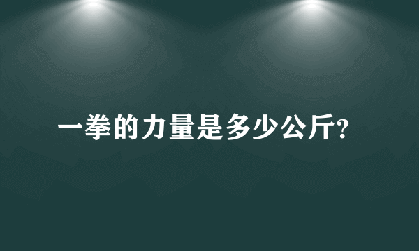 一拳的力量是多少公斤？