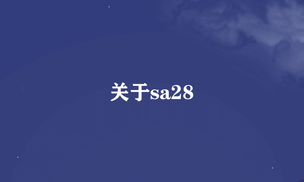关于sa28