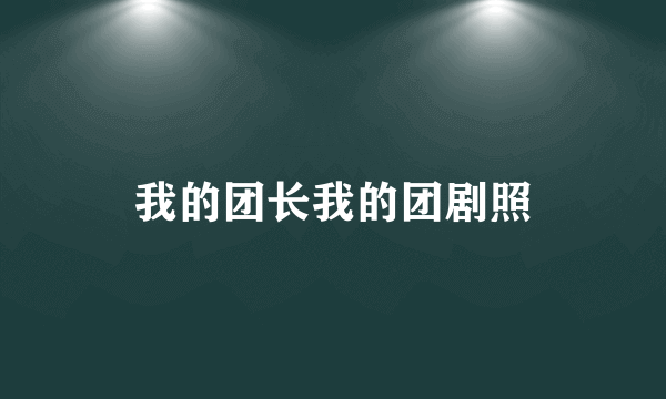 我的团长我的团剧照