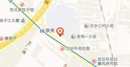 武汉十七中学在哪里