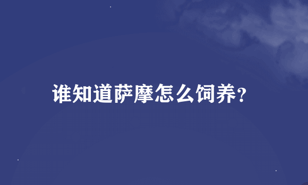 谁知道萨摩怎么饲养？