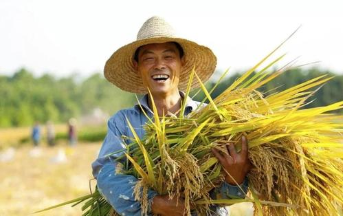 中国已消除绝对贫困，这个成就体现了什么？