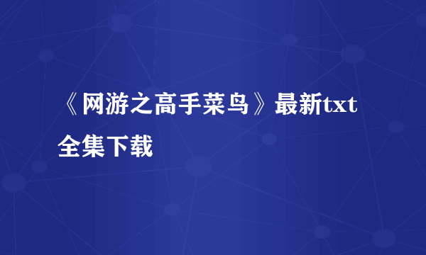 《网游之高手菜鸟》最新txt全集下载
