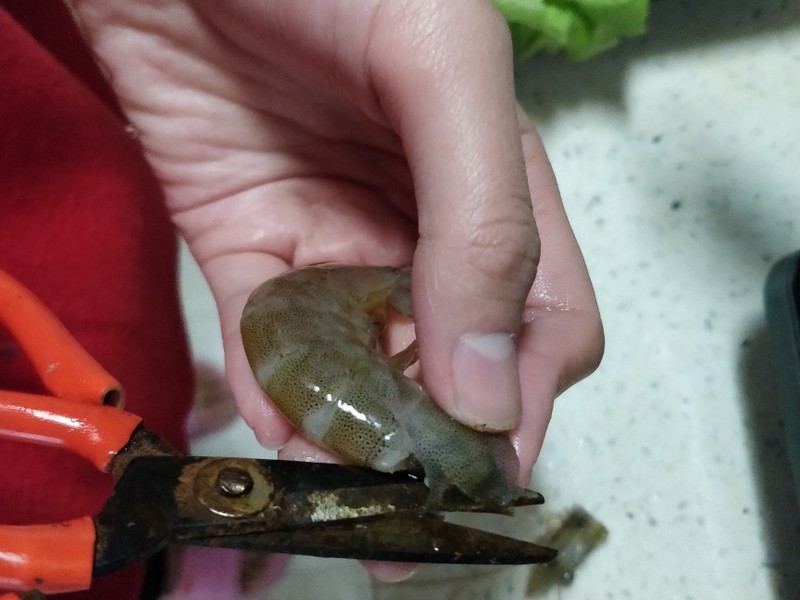 怎样杀虾比较合适?