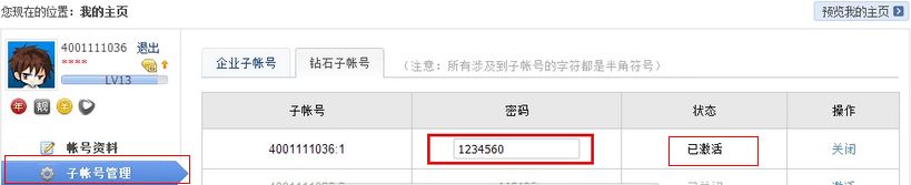 我买了 迅雷钻石会员 有子账号 怎么用啊？