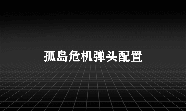 孤岛危机弹头配置