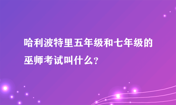 哈利波特里五年级和七年级的巫师考试叫什么？