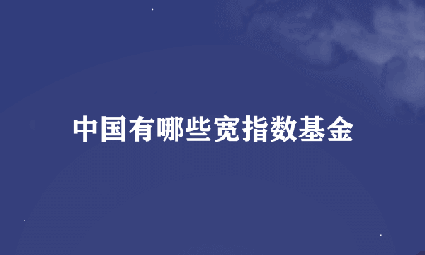 中国有哪些宽指数基金