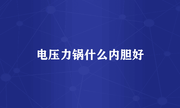 电压力锅什么内胆好