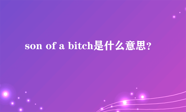 son of a bitch是什么意思？