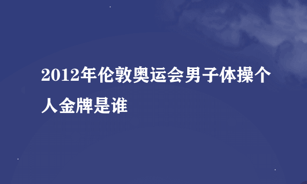 2012年伦敦奥运会男子体操个人金牌是谁