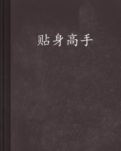 求明日复明日的《贴身高手》，要TXT格式，全本完结的，谢谢啦，最好是精校版