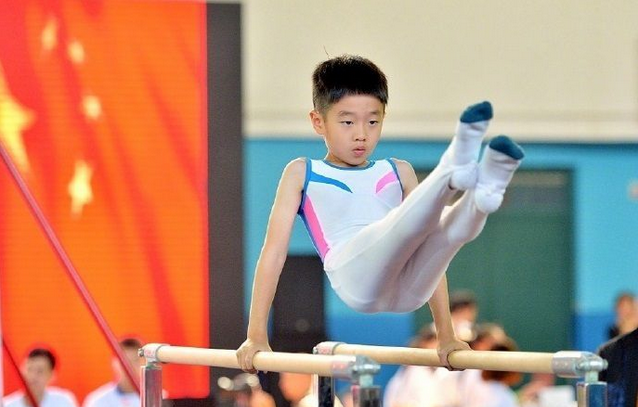 杨阳洋体操赛获奖了吗？