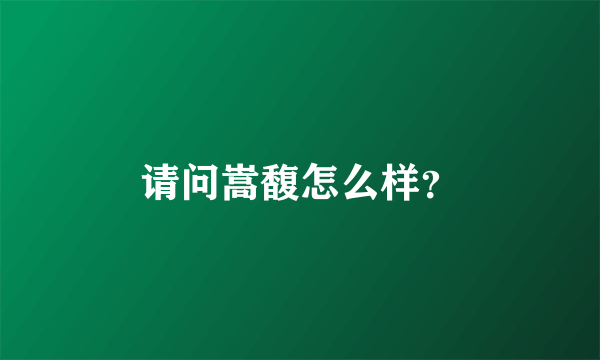 请问嵩馥怎么样？