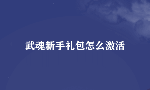 武魂新手礼包怎么激活