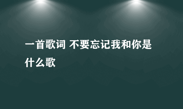 一首歌词 不要忘记我和你是什么歌