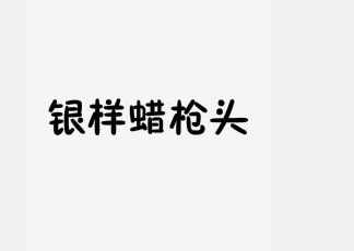 红楼梦中银样蜡枪头有什么喻义