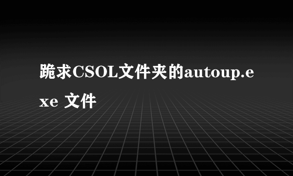 跪求CSOL文件夹的autoup.exe 文件