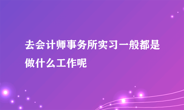 去会计师事务所实习一般都是做什么工作呢