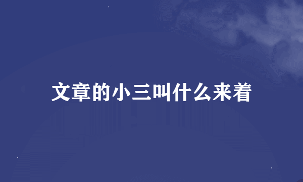 文章的小三叫什么来着