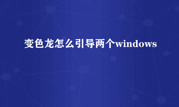 变色龙怎么引导两个windows