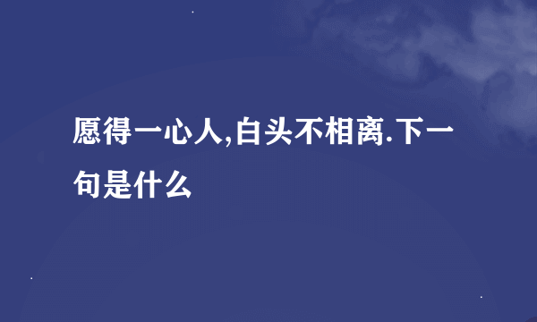 愿得一心人,白头不相离.下一句是什么
