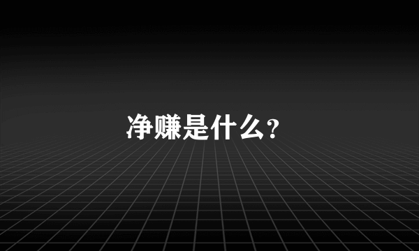 净赚是什么？