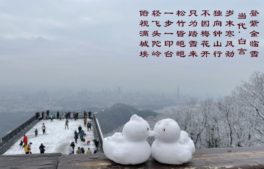 南京可能下雪吗