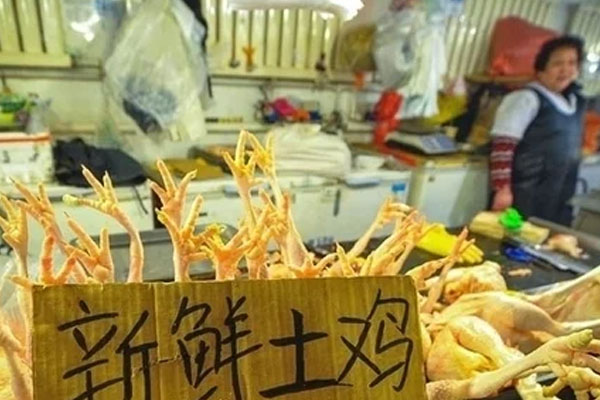 四川逐步取消现场宰杀销售活禽，这么做有何意义？