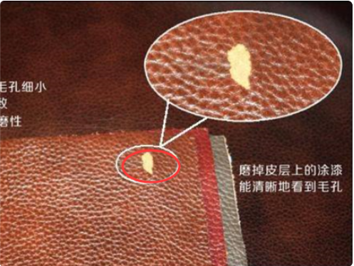 怎么分辨包包是不是真皮的？