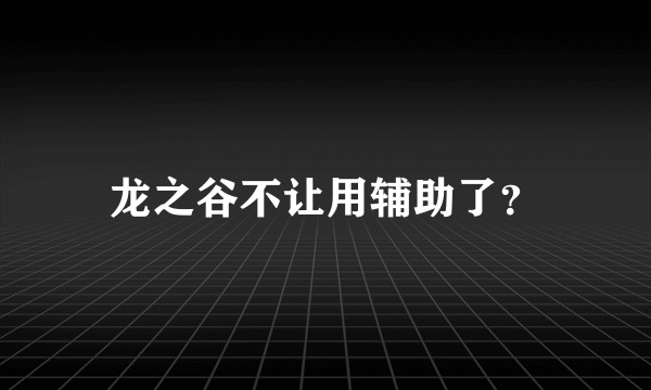 龙之谷不让用辅助了？