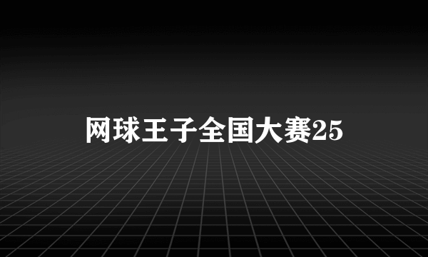 网球王子全国大赛25