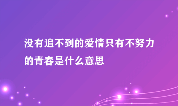 没有追不到的爱情只有不努力的青春是什么意思