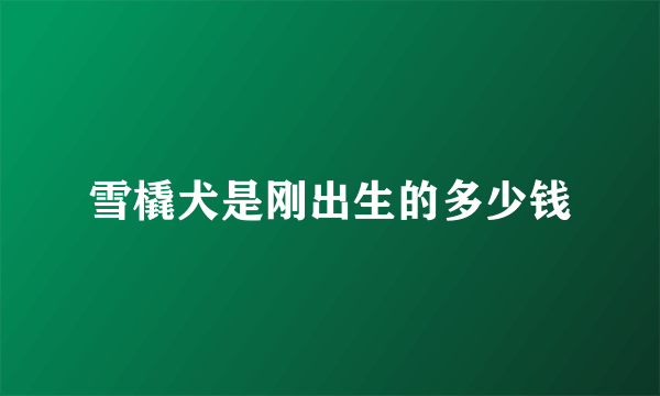 雪橇犬是刚出生的多少钱
