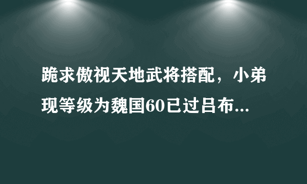 跪求傲视天地武将搭配，小弟现等级为魏国60已过吕布，威望到50万，求武将搭配和阵法运用，顺序。