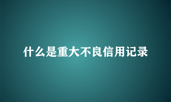什么是重大不良信用记录