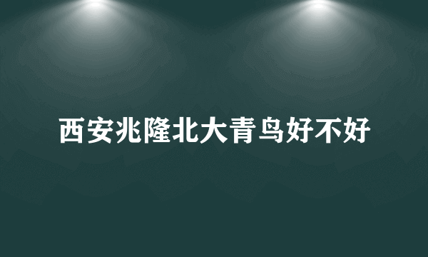 西安兆隆北大青鸟好不好