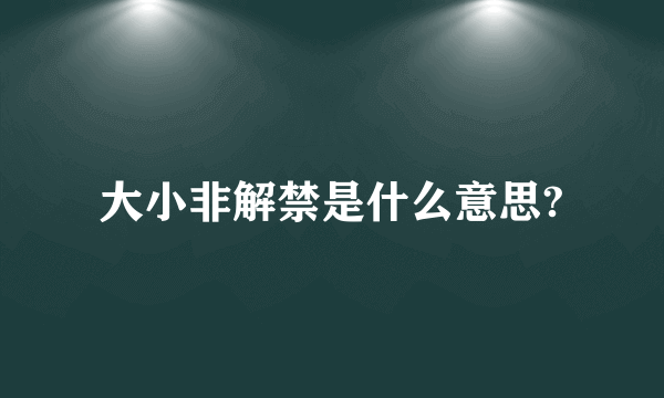 大小非解禁是什么意思?