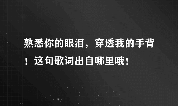 熟悉你的眼泪，穿透我的手背！这句歌词出自哪里哦！