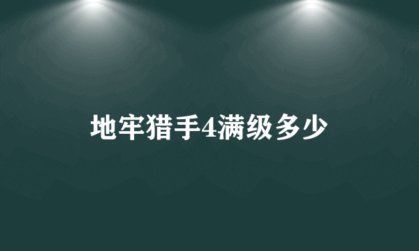 地牢猎手4满级多少