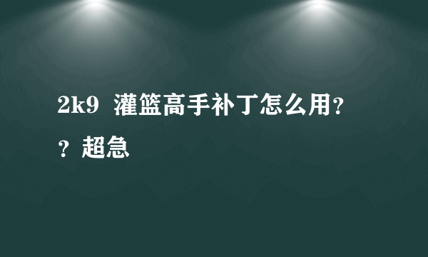 2k9  灌篮高手补丁怎么用？？超急