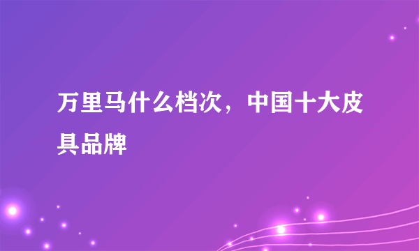 万里马什么档次，中国十大皮具品牌